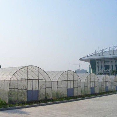 南岳西瓜大棚